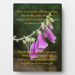 Miracle of Friendship Fotoplatte