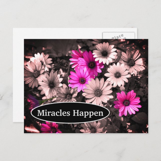 Miracles Happen Daisis Inspiration Postcard Postkarte (Vorne/Hinten)