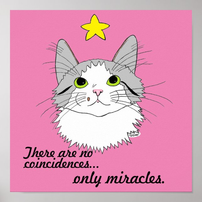 Miracles Inspirational Gizmo Kat Poster (Vorne)