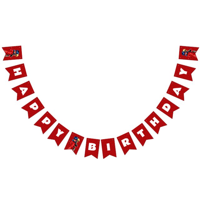 Miraculous Ladybug & Cat Noir Birthday Wimpelkette (Alle)