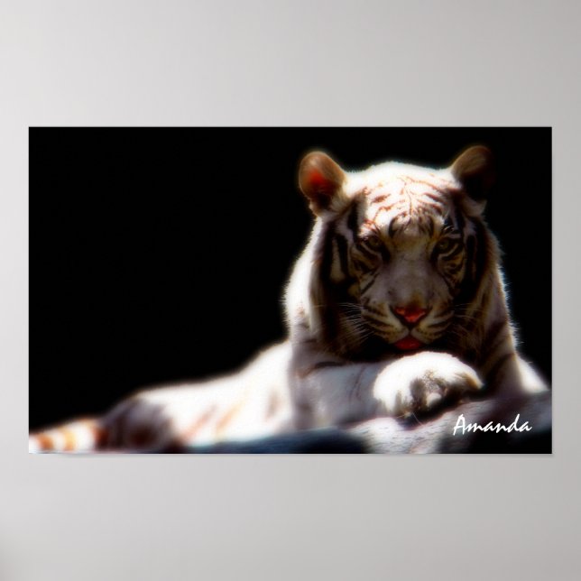 Mirage White Tiger Art Poster (Vorne)