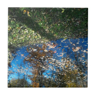 Miroir Mirror Autumn Tile Fliese