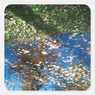 Miroir Mirror Erntedank Sticker