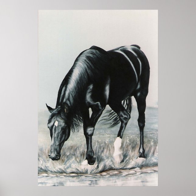 Mirror, Mirror...... Poster (Vorne)