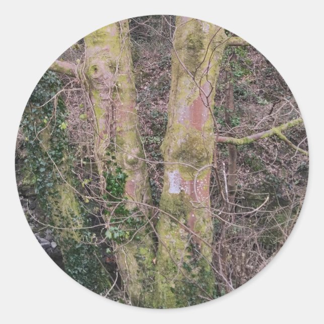 Mirror Trees Sticker (Vorderseite)