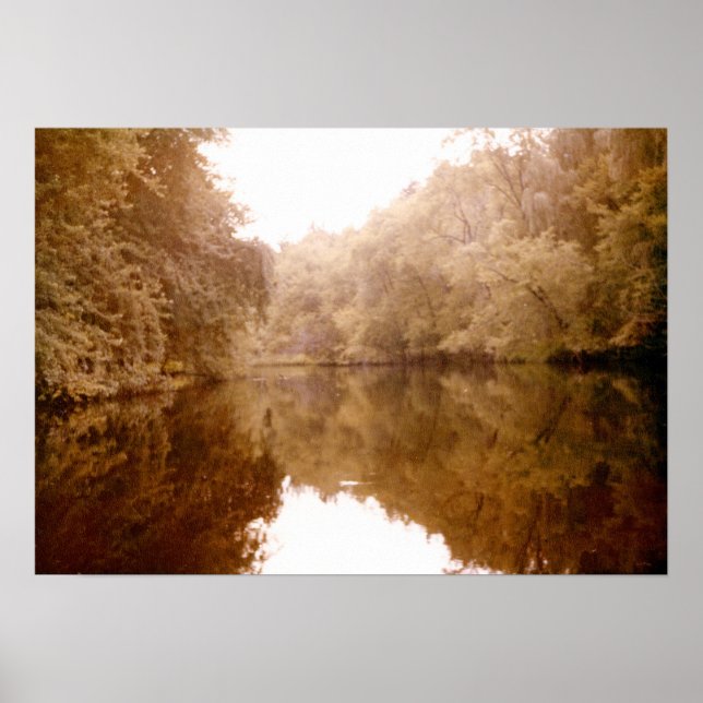 Mirrored Lakeview Poster (Vorne)