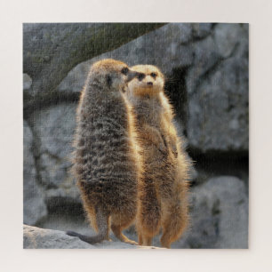 Mirrored Meerkats Puzzle