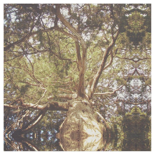 Mirrored Tree Stoff (Nahaufnahme)