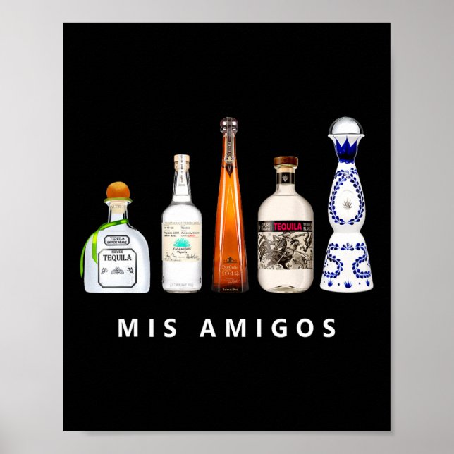 Mis Amigos Tequila Funny Cinco De Mayo Mexican Par Poster (Vorne)