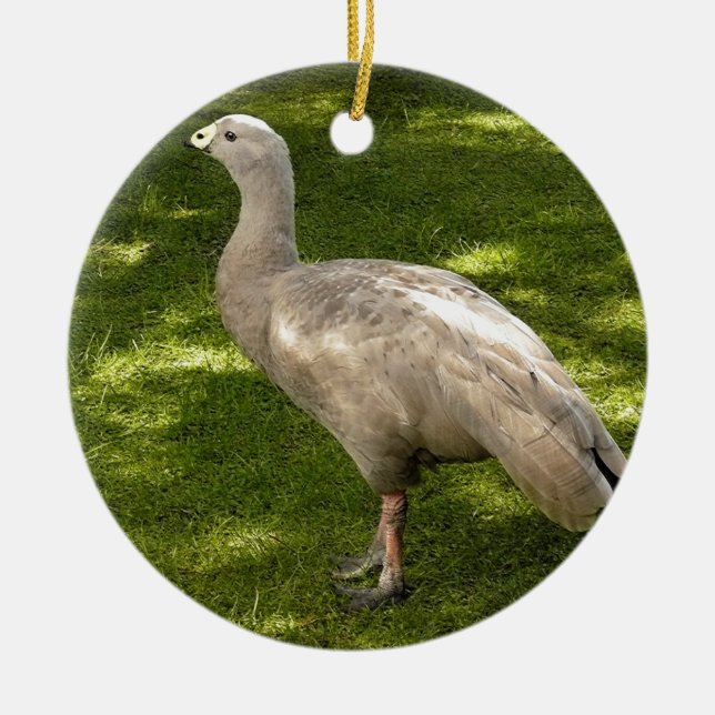 Miscellaneous - Cape Barren Goose Shadows & Light Keramik Ornament (Vorne)