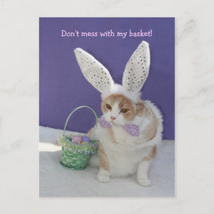 Misch dich nicht mit meinem Korb! Postkarte