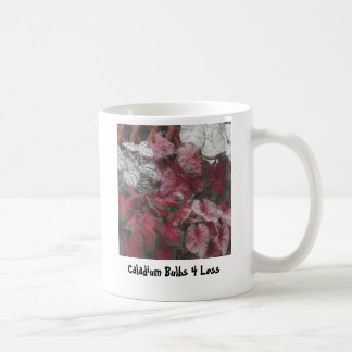 Mischbirnen, Caladium-Birnen 4 weniger Tasse