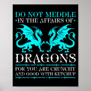 Mische Dich Nicht In Angelegenheiten Von Drachen F Poster