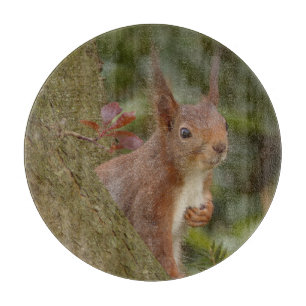 Mischeuvous Red Squirrel Schneidebrett
