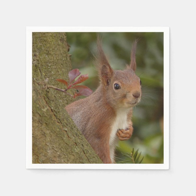 Mischeuvous Red Squirrel Serviette (Vorderseite)