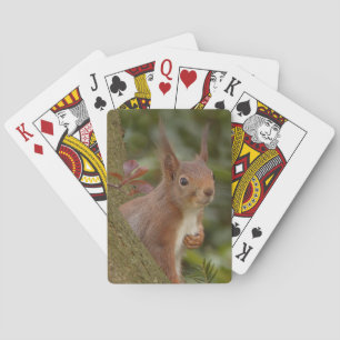 Mischeuvous Red Squirrel Spielkarten