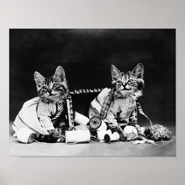 Mischief Makers - Harry Whittier Frees Poster (Vorne)