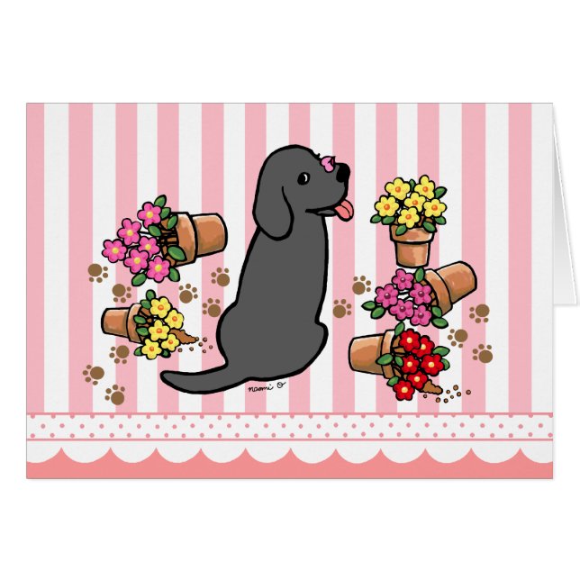 Mischling (Vorderseite (Horizontal))