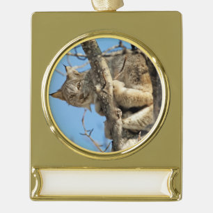 Mischous Lynx Banner-Ornament Gold