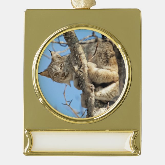 Mischous Lynx Banner-Ornament Gold (Vorderseite)