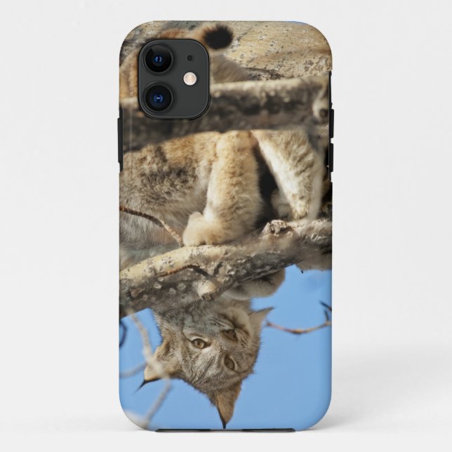 Mischous Lynx Case-Mate iPhone Hülle (Rückseite)