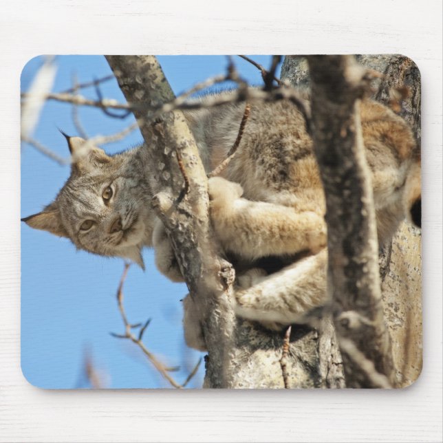 Mischous Lynx Mousepad (Vorne)