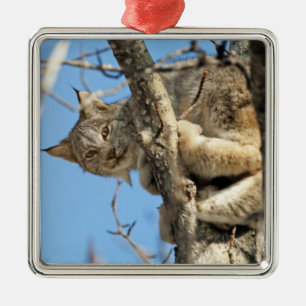 Mischous Lynx Ornament Aus Metall