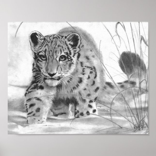 Mischous Poster (Vorne)