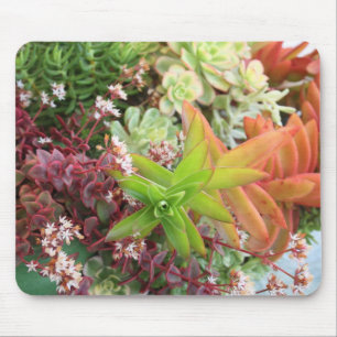 Mischsucculents mousepad