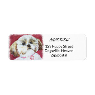 MISCHUNG SPIELZEUGSHIH TZU