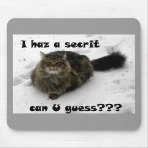 Mischvous Maine Coon im Schnee Mousepad