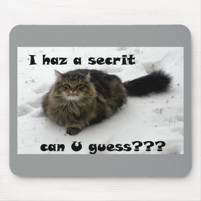 Mischvous Maine Coon im Schnee Mousepad (Vorne)