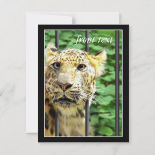 Mishap im Zoo Einladung