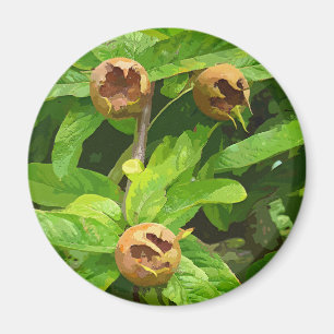 MISPEL-FRUCHT MAGNET