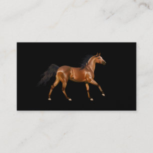 Miss America Rodeo Horse Business Cards Visitenkarte