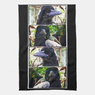 Miss Bub rettet australische Magpie Geschirrtuch