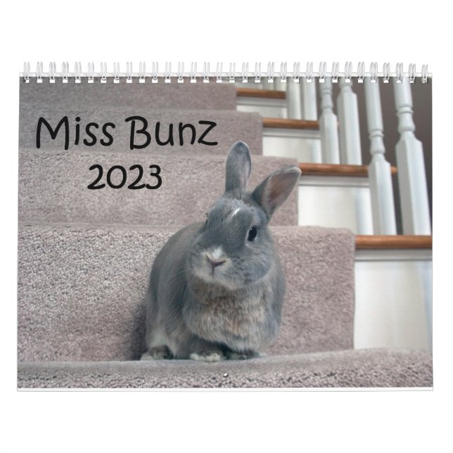 Miss Bunz 2023 Kalender (Titelbild)