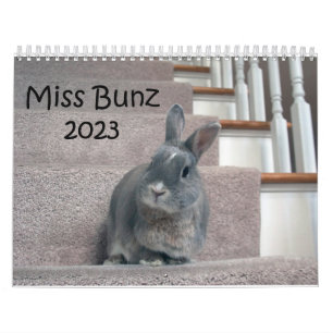 Miss Bunz 2023 Kalender