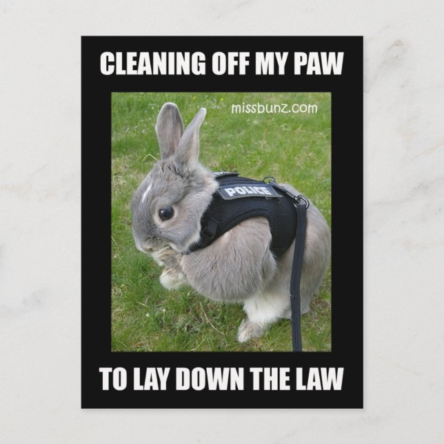 Miss Bunz Reinigungspaw Postcard Postkarte (Vorderseite)