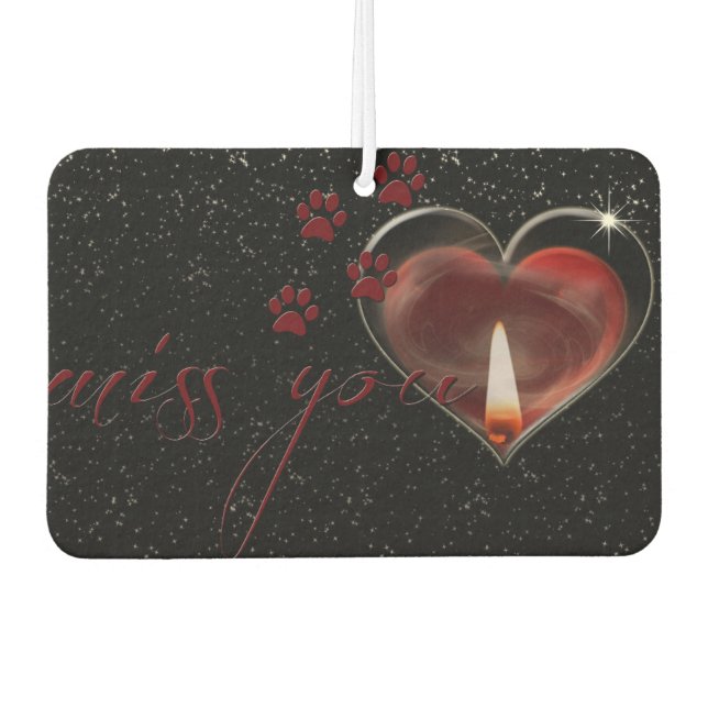 Miss dich autolufterfrischer (Vorderseite)