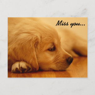 Miss dich! Golden Retriever Puppy Postkarte