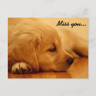 Miss dich! Golden Retriever Puppy Postkarte