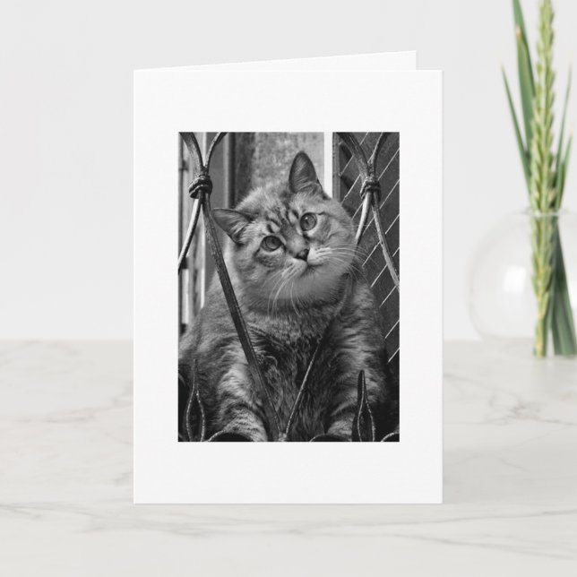 Miss dich karte (Vorderseite)