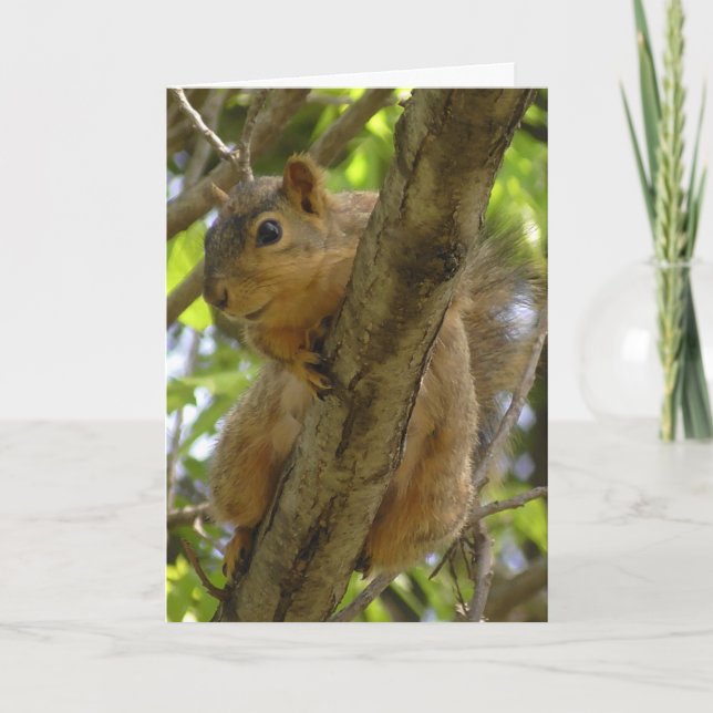 Miss dich, lass uns bald das Eichhörnchen aushänge Karte (Vorderseite)