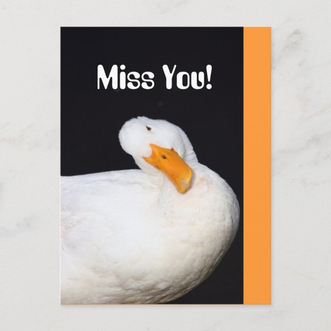 Miss dich! Niedliche White Duck Postkarte (Vorderseite)