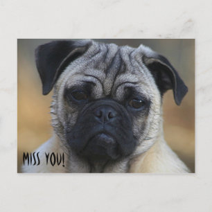 Miss DICH! Postkarte