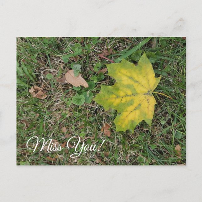 Miss dich, Single Fall Leaf Postkarte (Vorderseite)