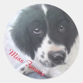 Miss Fannie - English Springer Spanisch Sticker