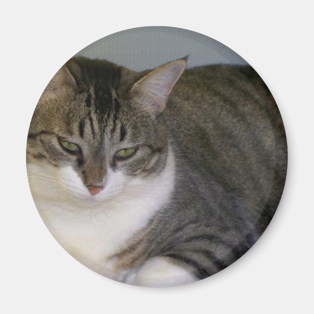 Miss Hannah Magnet (Vorne)