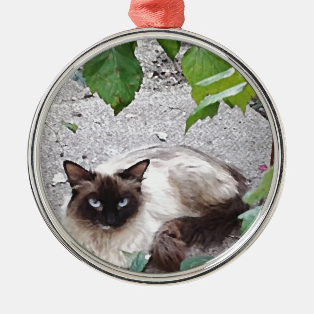 Miss Kitty Digital Painting Silbernes Ornament (Vorne)